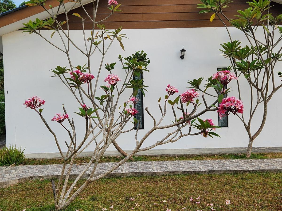 Halcyon Days @ Langkawi Apartment ปันไตเจอนัง ภายนอก รูปภาพ