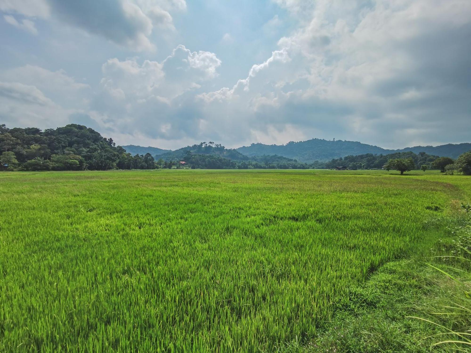 Halcyon Days @ Langkawi Apartment ปันไตเจอนัง ภายนอก รูปภาพ