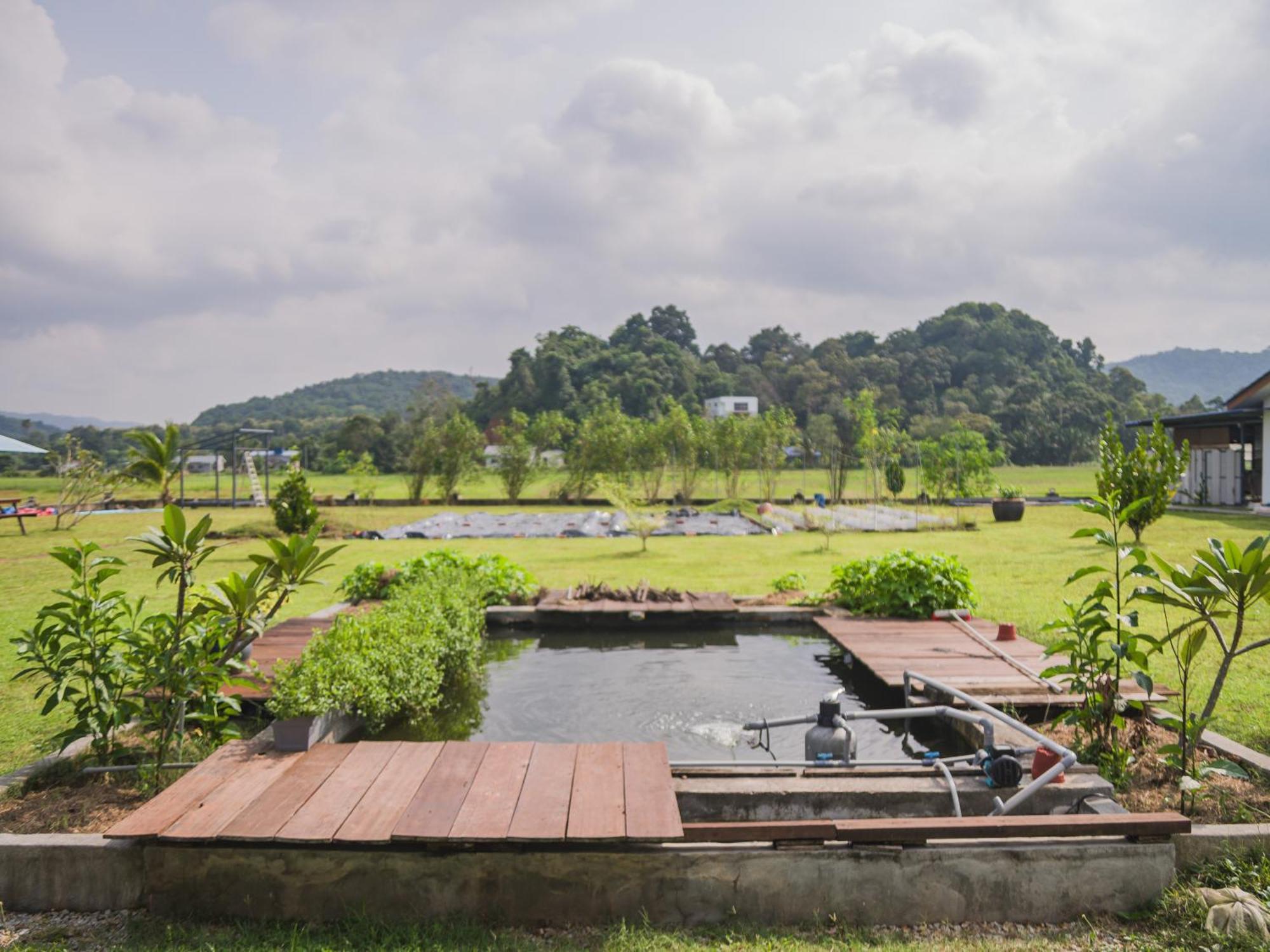 Halcyon Days @ Langkawi Apartment ปันไตเจอนัง ภายนอก รูปภาพ