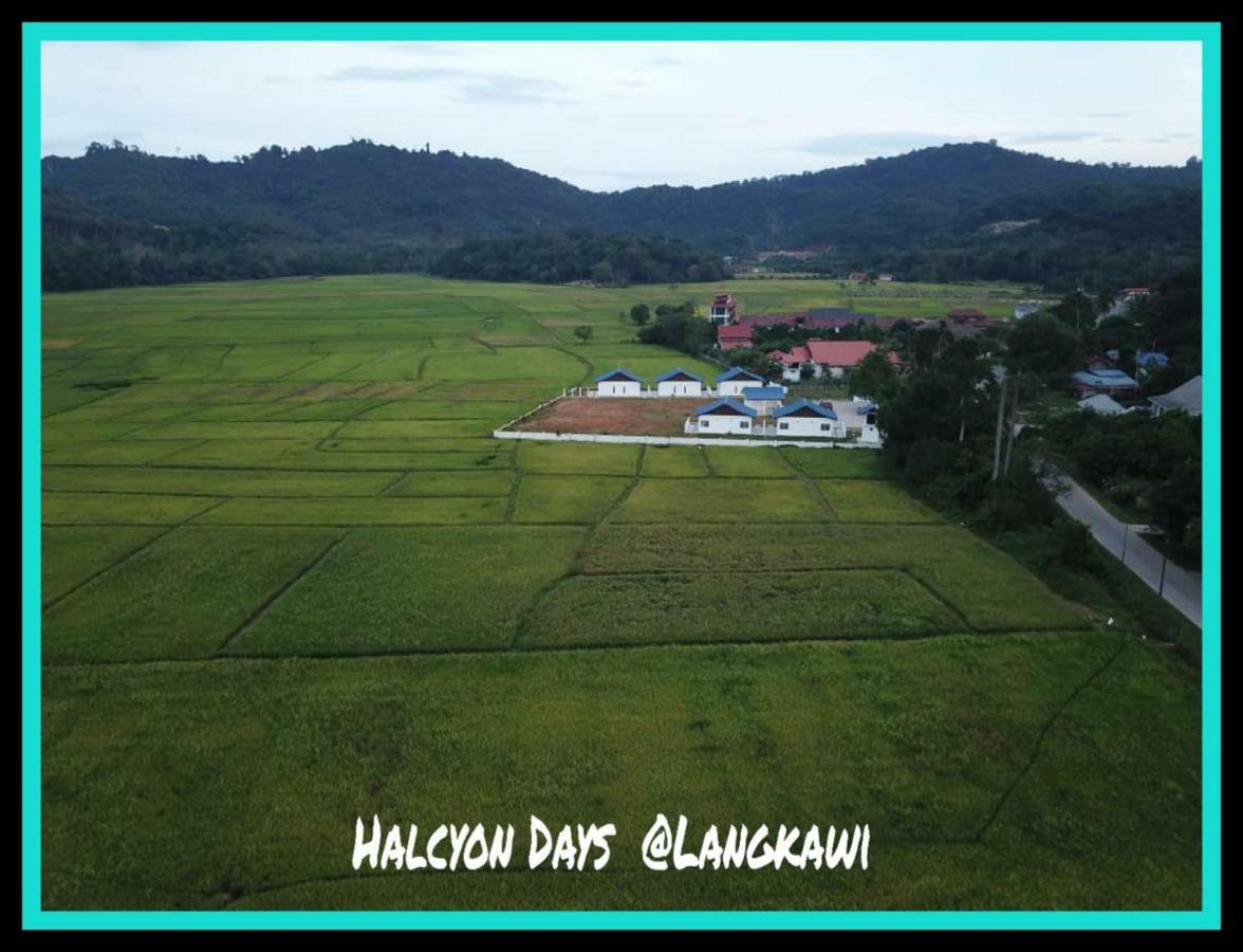 Halcyon Days @ Langkawi Apartment ปันไตเจอนัง ภายนอก รูปภาพ